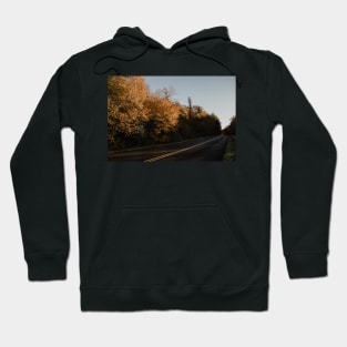 Mountain Fall Foliage Hoodie